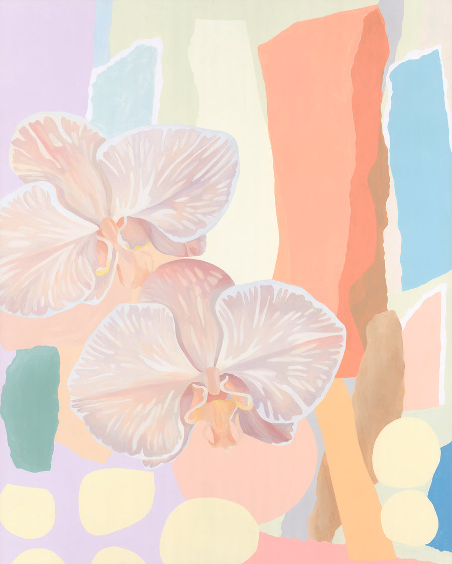 WINDOW ORCHIDS - LIMITED EDITION PRINT